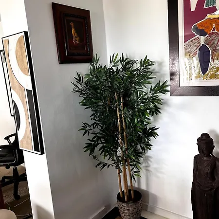 Apartment Luxury Front Center Puerto Banus